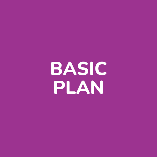 Basic Plan